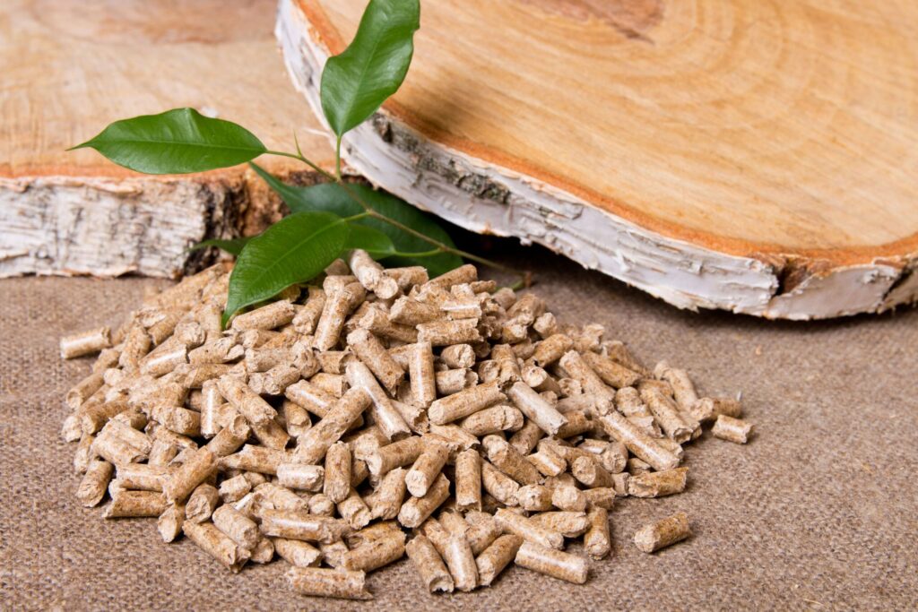 Mengenal Biomassa Dan Manfaat Penggunaannya Satuplatform