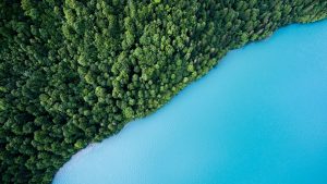 andreas gucklhorn 285567 unsplash 1 2