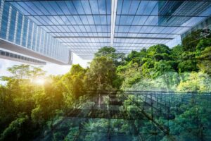 Ekolabel – Pengertian dan Lembaga Sertifikasi