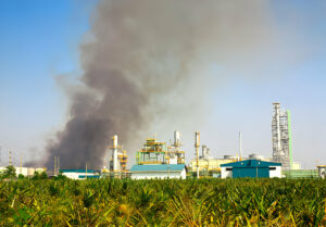 Bursa Karbon Indonesia: Peluang dan Tantangan dalam Mengurangi Emisi Gas Rumah Kaca (GRK)