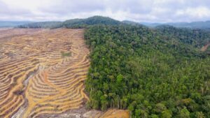 Perjalanan Fenomena Global Warming