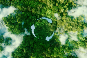Local Solutions for Global Impact: Community Initiatives for Net Zero Emission