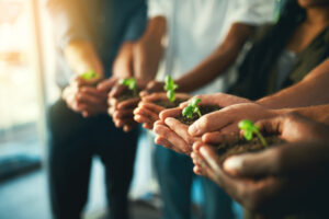 6 Bidang Green Career yang Patut Dicoba