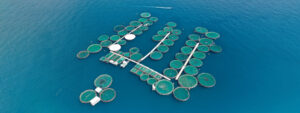 Aquaculture for Sustainable Fishing
