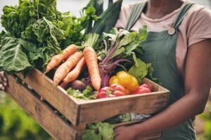 StartUp AgriTech: Strategi Berkelanjutan Kurangi Emisi Karbon