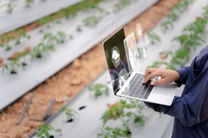StartUp AgriTech: Strategi Berkelanjutan Kurangi Emisi Karbon