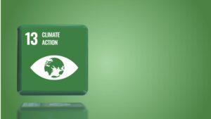 How Business Contribute to SDG 13: Climate Action