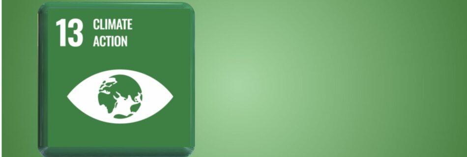 How Business Contribute to SDG 13: Climate Action