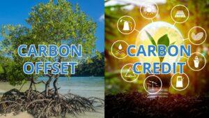 Carbon Offset dan Carbon Credit: Apa Bedanya dan Mengapa Penting?