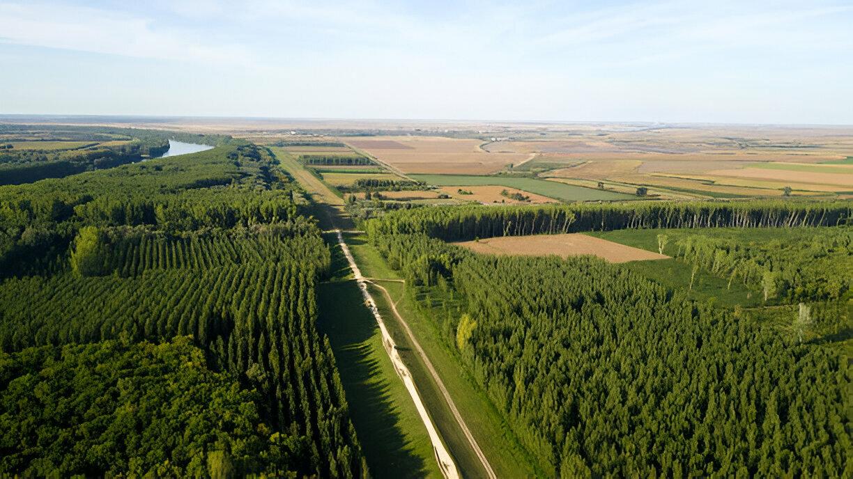 agroforestry