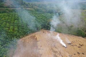 Apakah Deforestasi Dapat Memicu Krisis Pangan Berikutnya Melalui Perubahan Iklim?