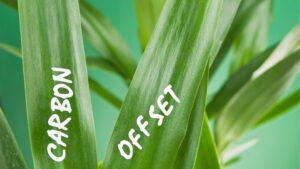 Green and Yellow Illustrative Weekly Team Update Presentation