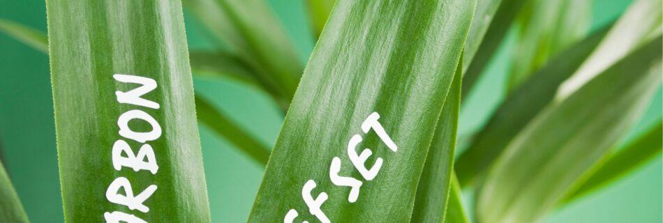 Green and Yellow Illustrative Weekly Team Update Presentation
