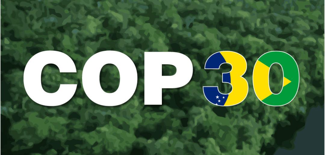 2025 cop30 1080x516