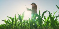 5 Tantangan Besar Sektor Pertanian
